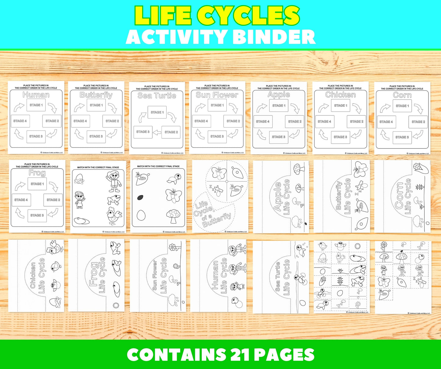 Life Cycles Activity Binder Download