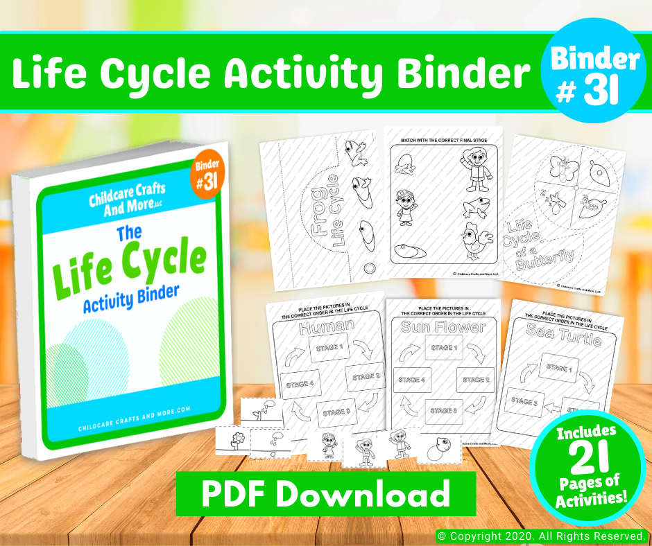 Life Cycles Activity Binder Download